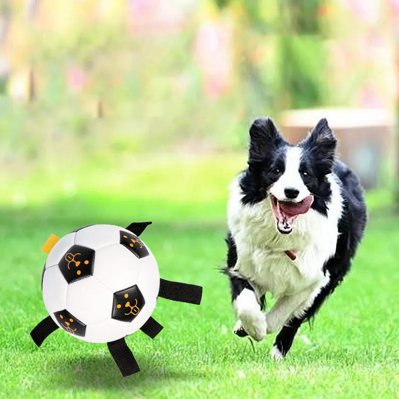 Dog Soccer Ball with Pump