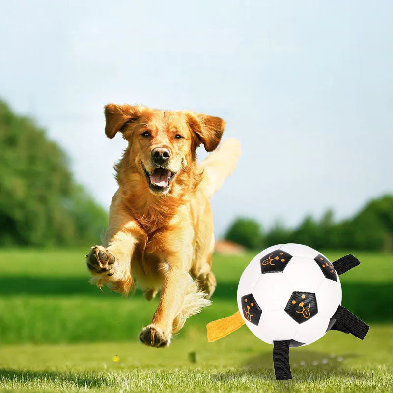 Dog Soccer Ball with Pump