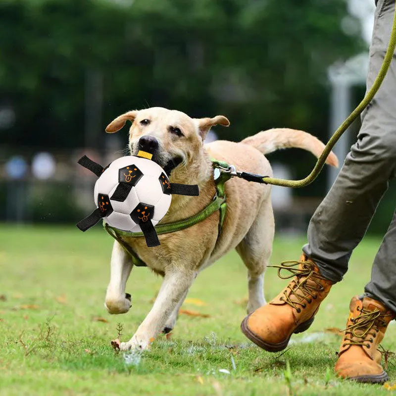 Dog Soccer Ball with Pump